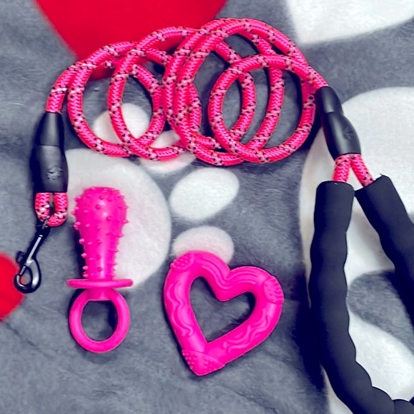 Brand New ๐๐พโฅ๏ธ Pink Pet Pack w/Fleece Blanket, Leash & Chew Toys - Picture 4 of 4